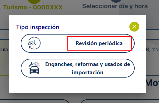 tipo de inspección itv